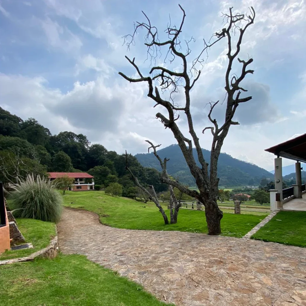 Beneficios-de-elegirnos-3