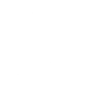 Ico-_pickle ball