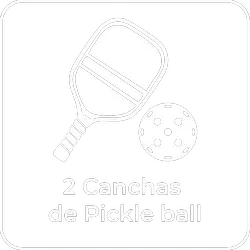 Ico-_pickle ball