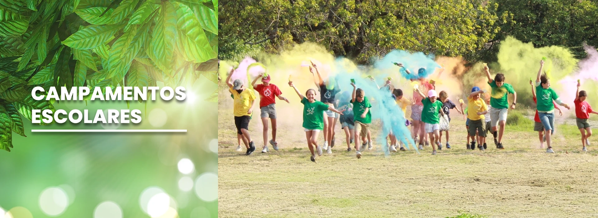 carrusel-campamentos-escolares-desk
