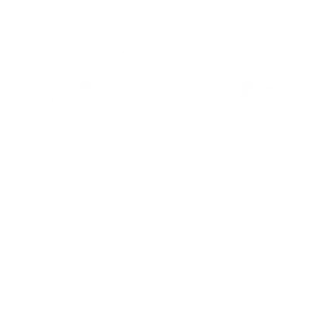 Decorative garden