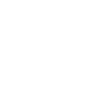 Restaurante100