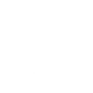 zipline